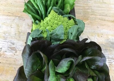 Green-Gradation-Vegetable-Trencher